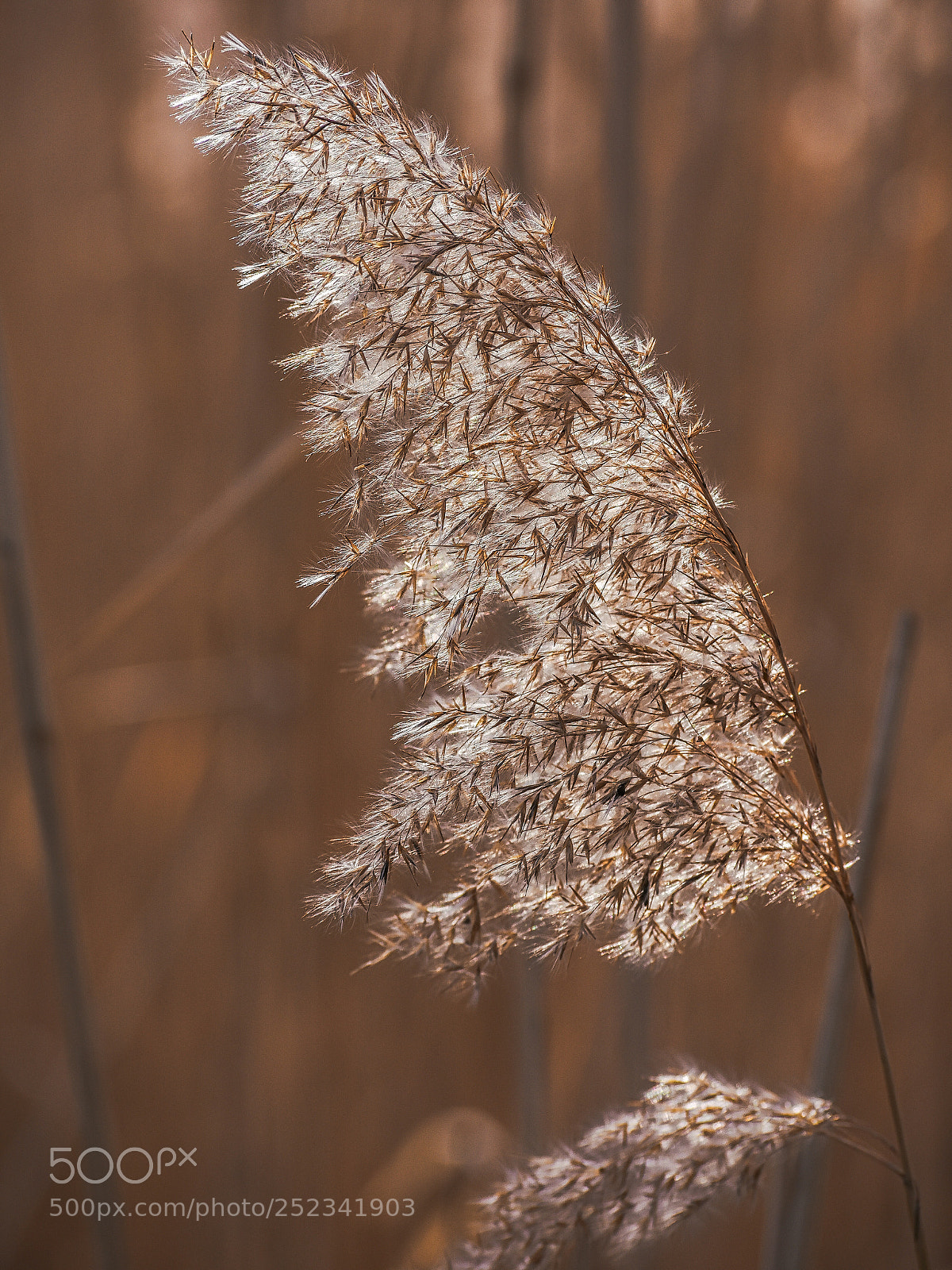 Nikon D7200 sample photo. Sunbeams photography