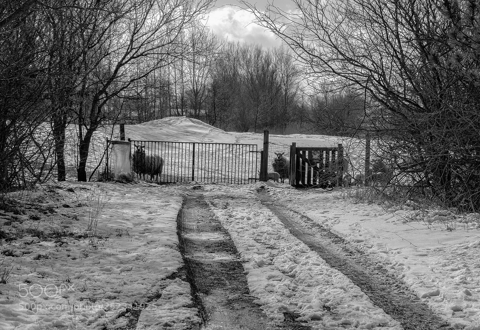 Sony a7 sample photo. Curious.. photography