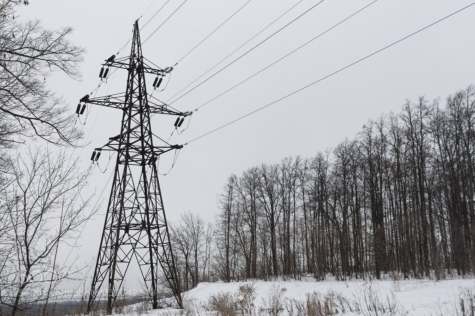 Canon EOS 650D (EOS Rebel T4i / EOS Kiss X6i) sample photo. Transmission line photography