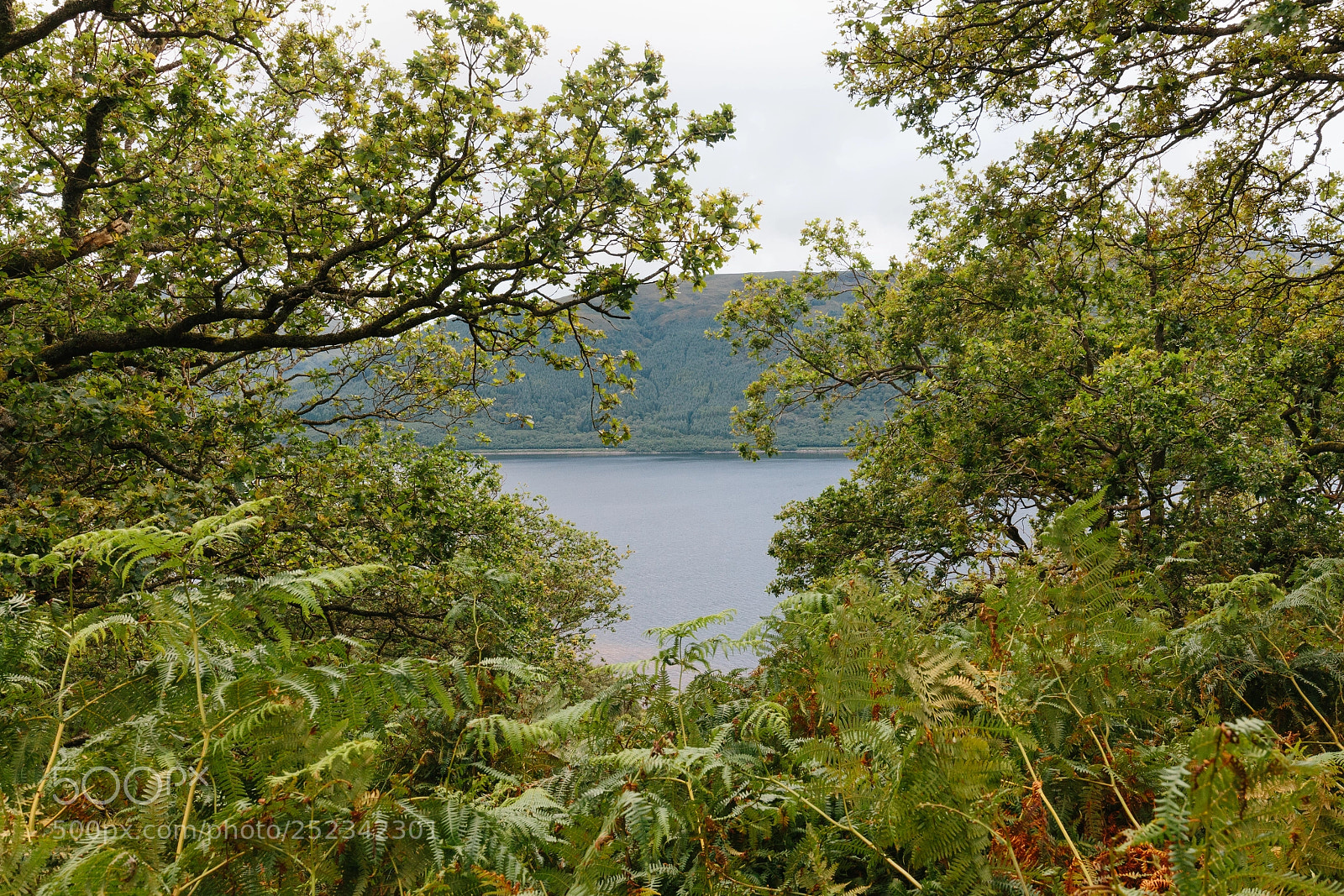 Canon EOS 650D (EOS Rebel T4i / EOS Kiss X6i) sample photo. Loch lomond & glen coe photography