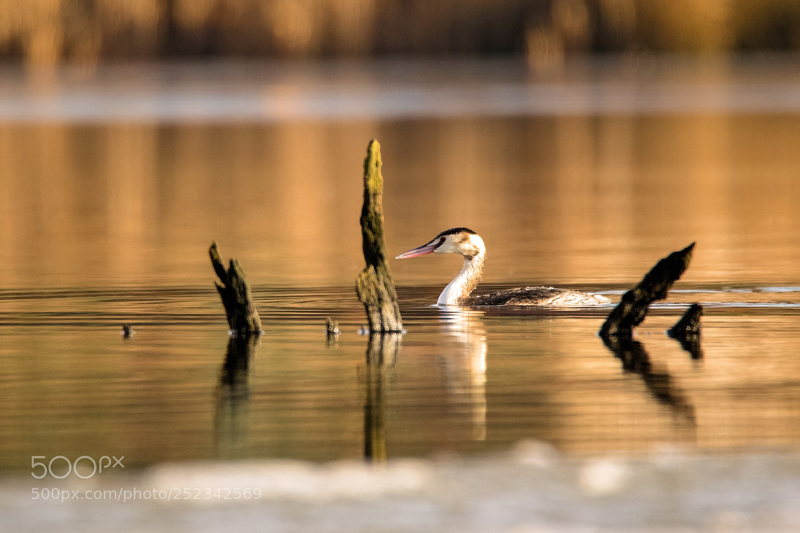 Canon EOS 7D Mark II sample photo. Passing through.jpg photography