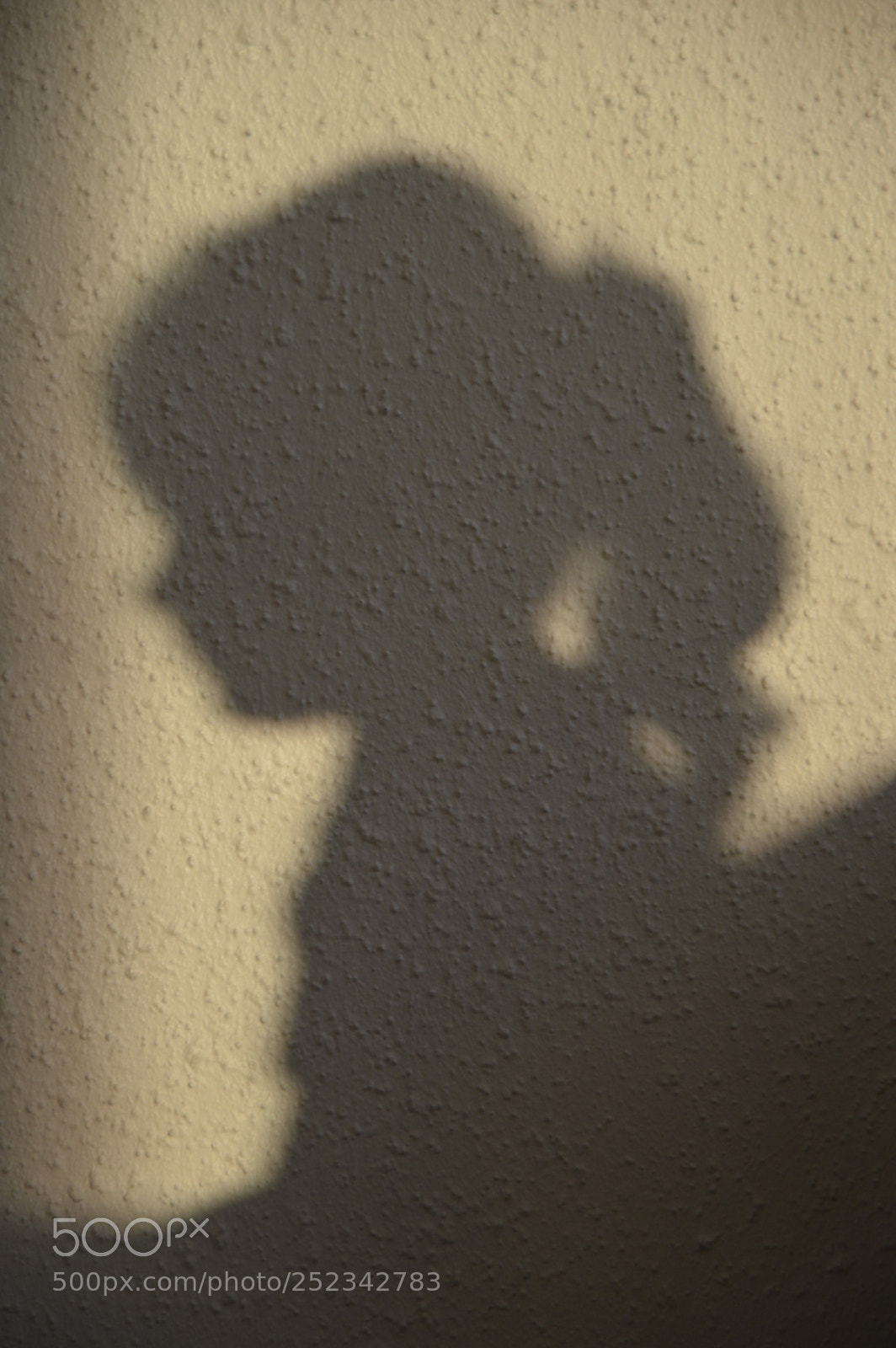 Nikon D3200 sample photo. Ho! a shadow photography