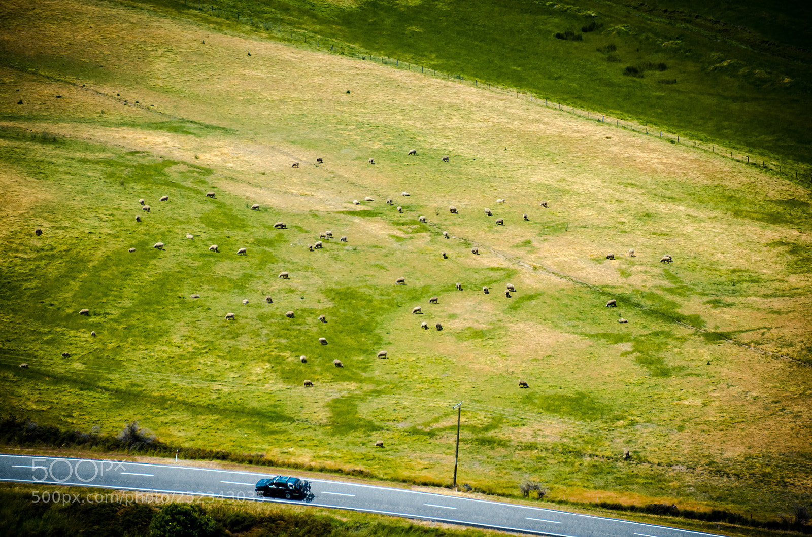 Nikon D7000 sample photo. On the way to photography