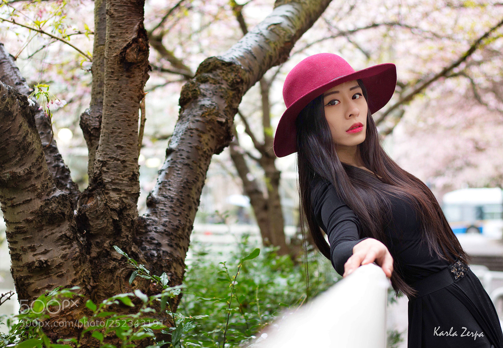 Canon EOS 70D sample photo. Untitled photography