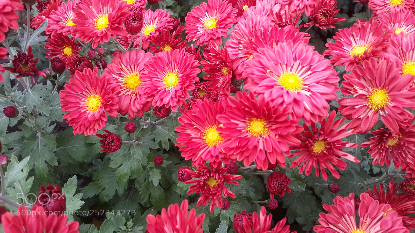 Samsung Galaxy S4 sample photo. 20171028_141830.jpg photography