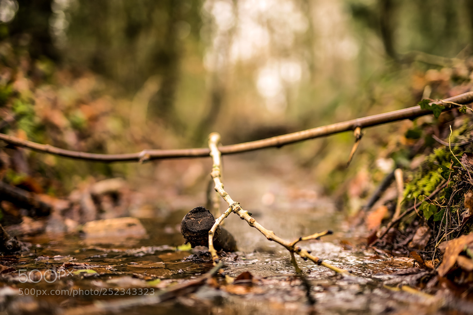 Sony a7 II sample photo. Dsc02436-edit.jpg photography