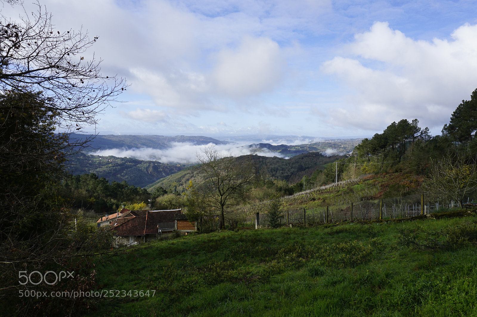 Sony a6000 sample photo. Dsc photography