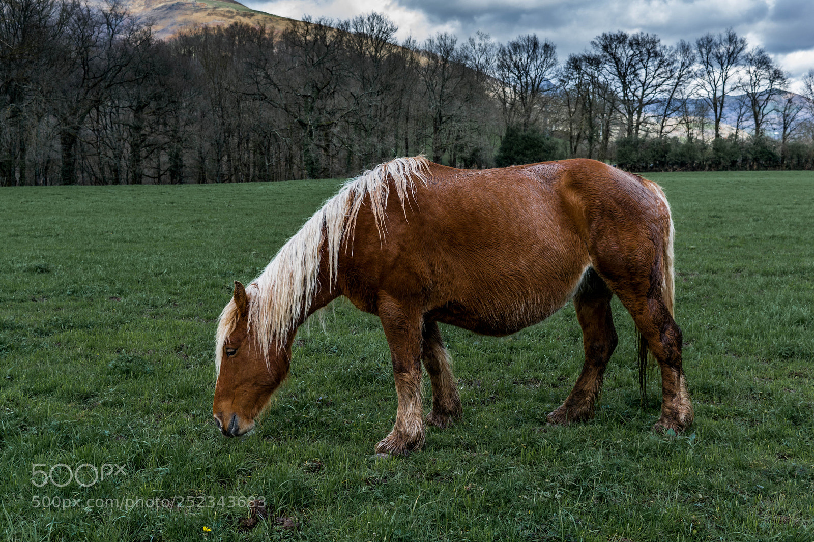 Nikon D5200 sample photo. Untitled photography
