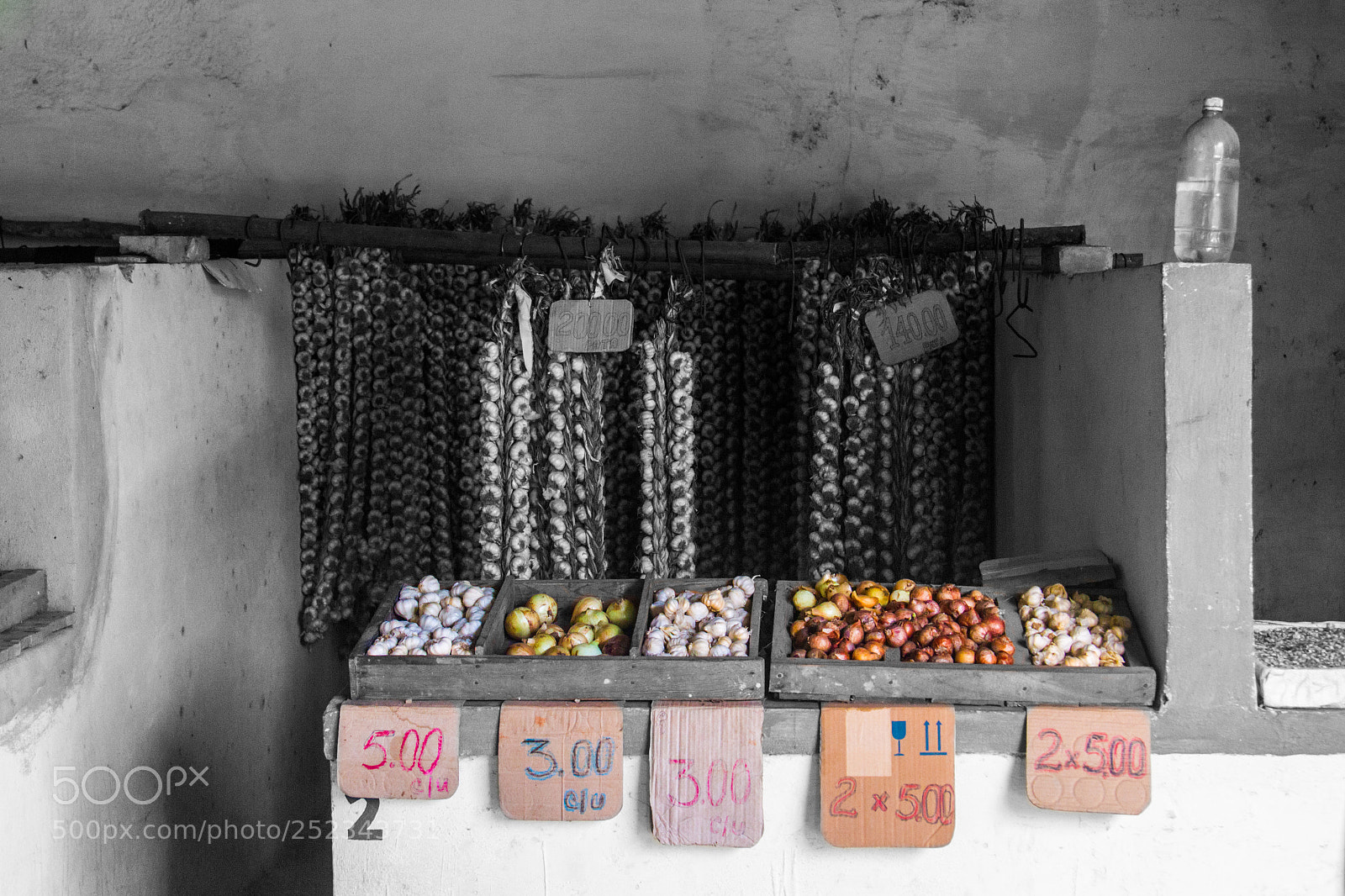 Canon EOS 7D sample photo. Cuban garlic photography