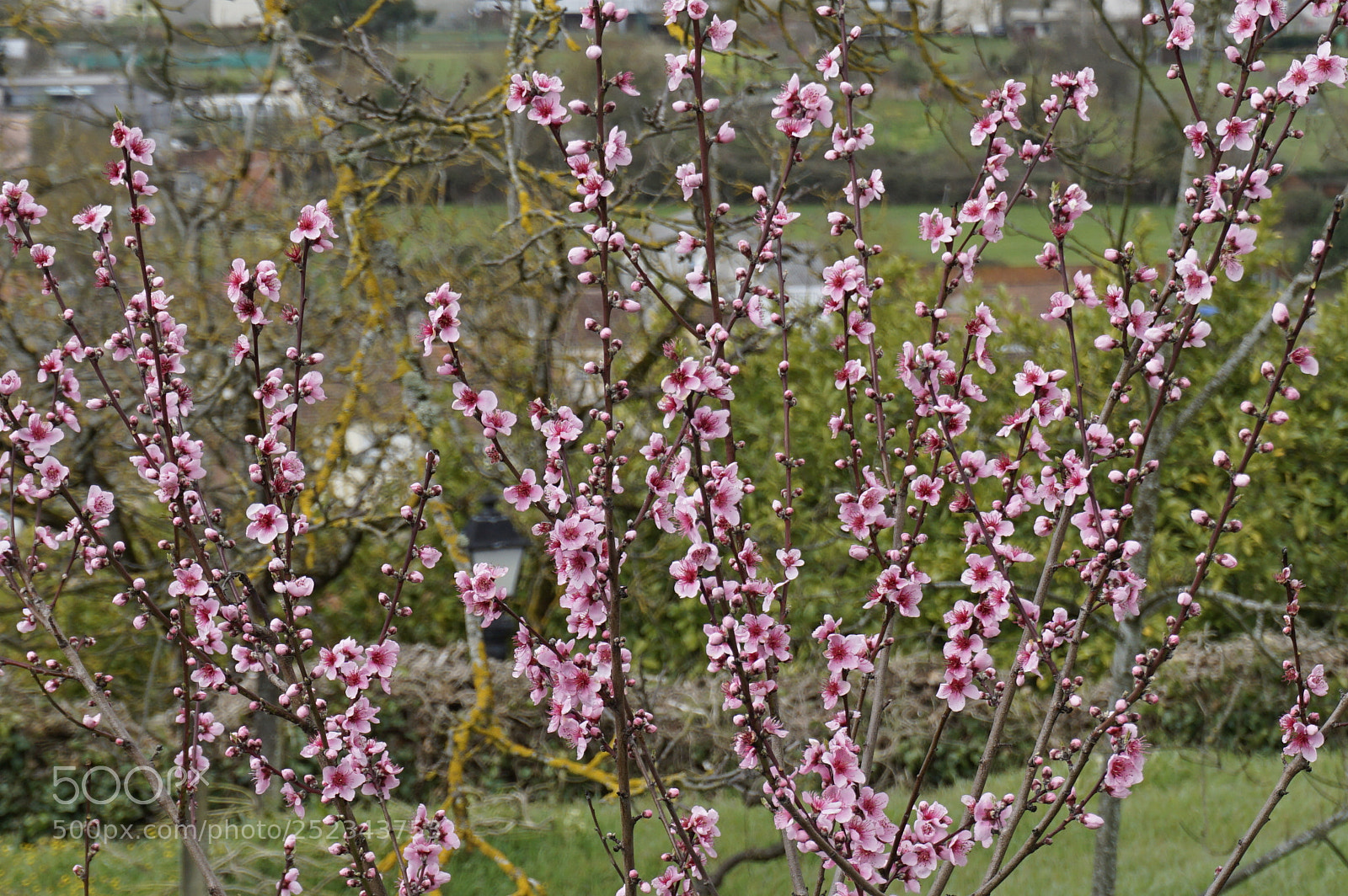 Sony a6000 sample photo. Dsc photography