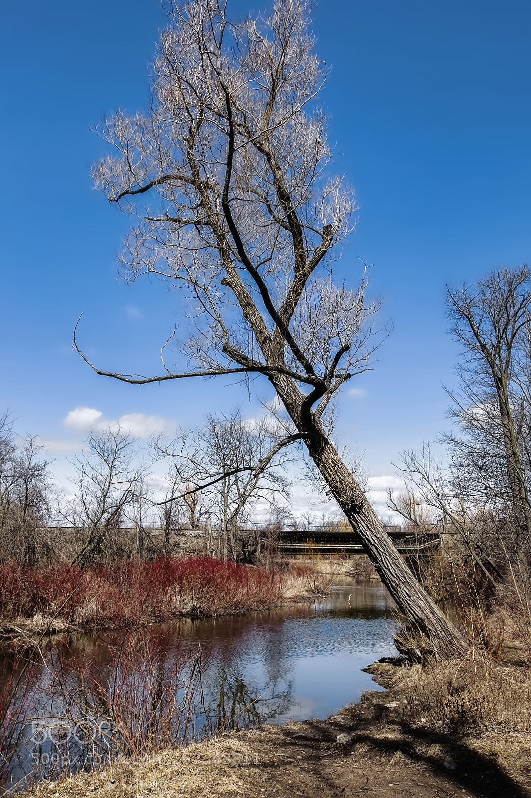 Fujifilm X-E2 sample photo. Mill pond park-milton photography