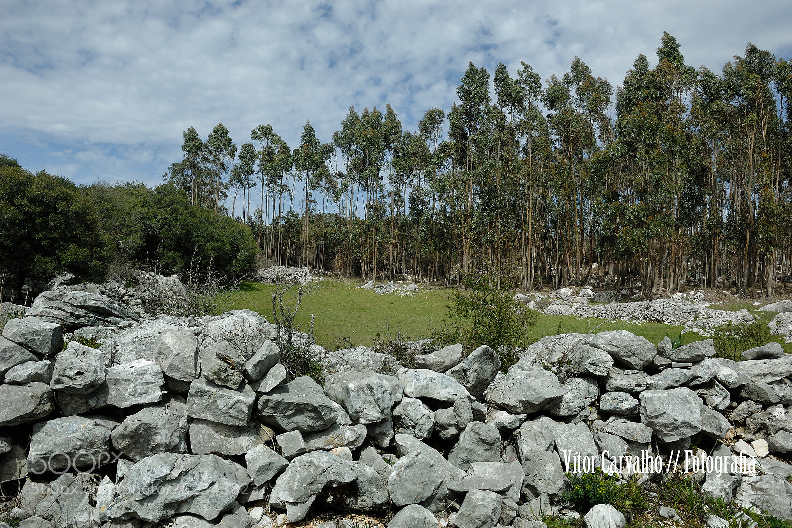 Nikon D2X sample photo. Cerca de pedra photography