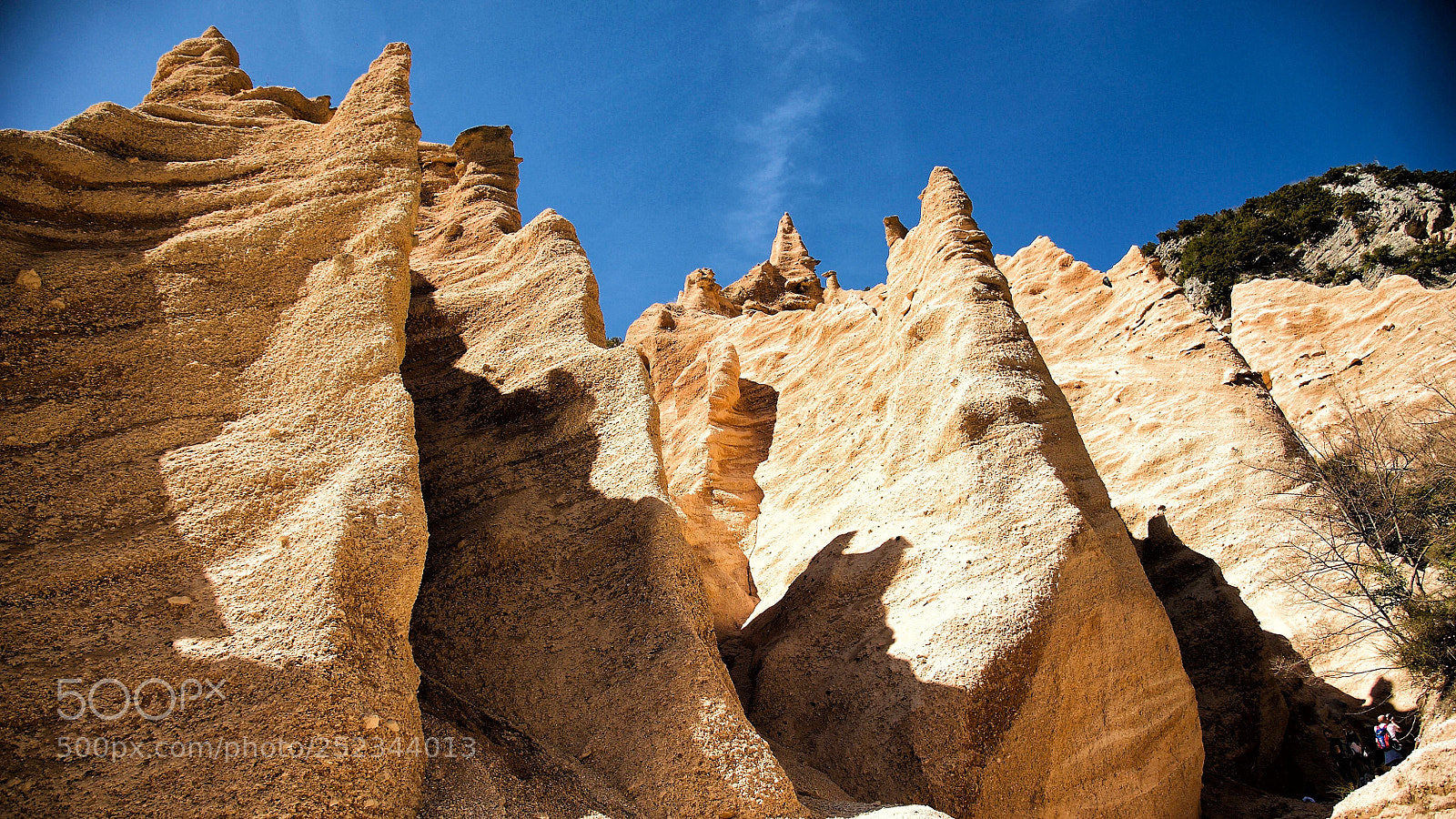 Nikon D700 sample photo. Lame rosse photography