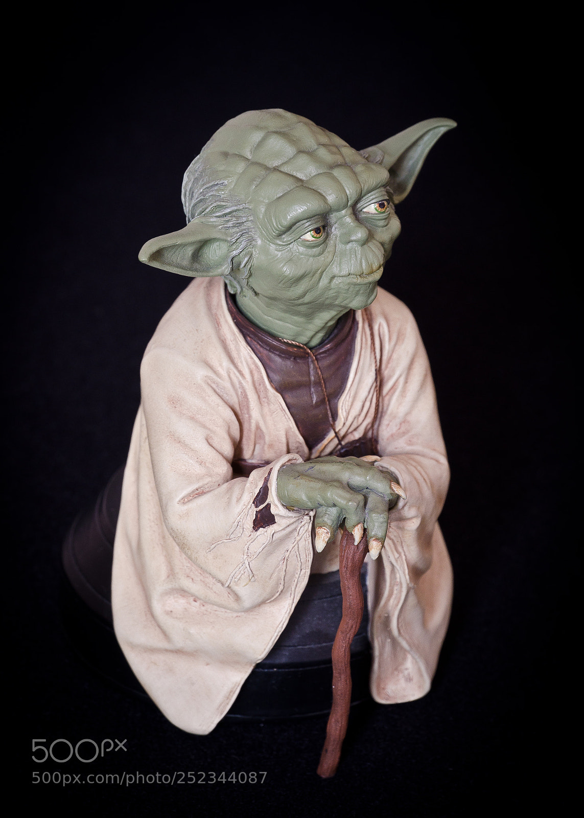 Nikon D7000 sample photo. Yoda photography