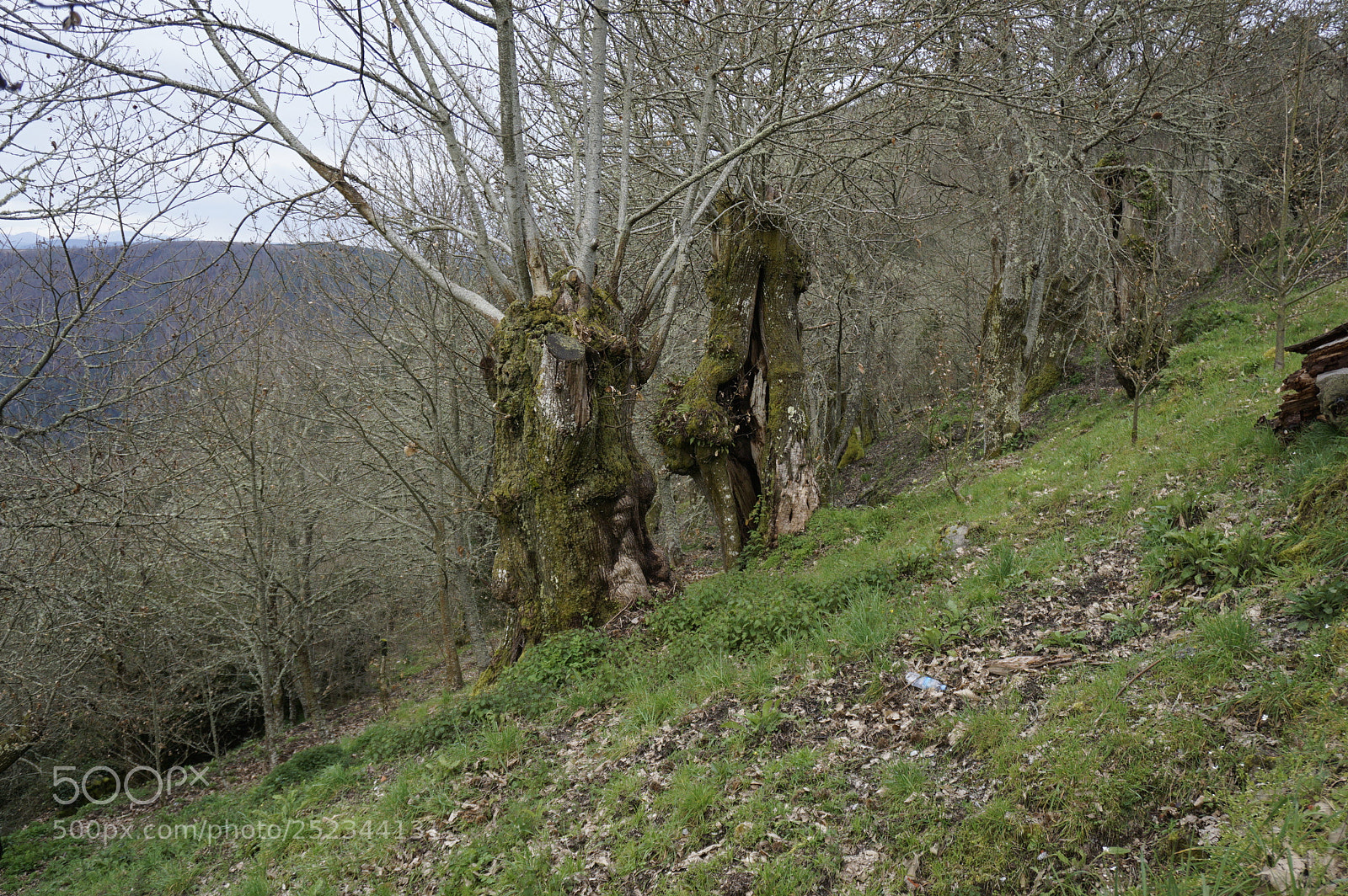 Sony a6000 sample photo. Dsc photography
