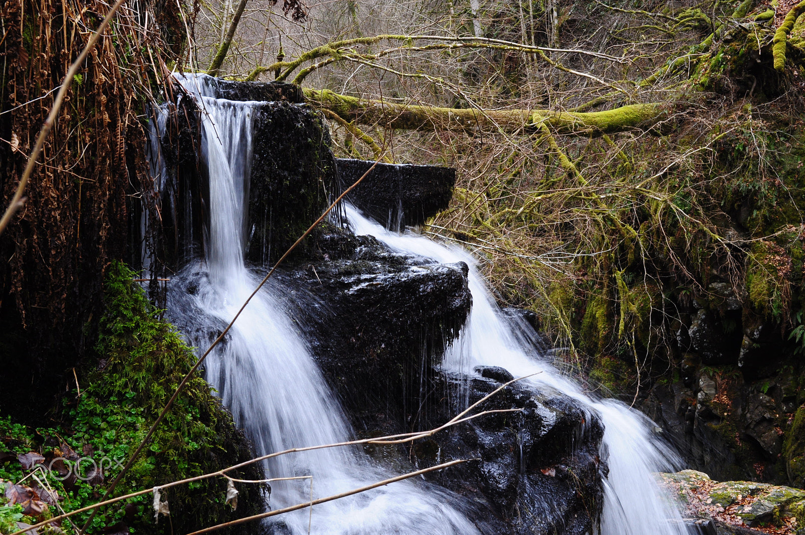 Nikon D90 sample photo. Birks of aberfeldy - waterfall photography