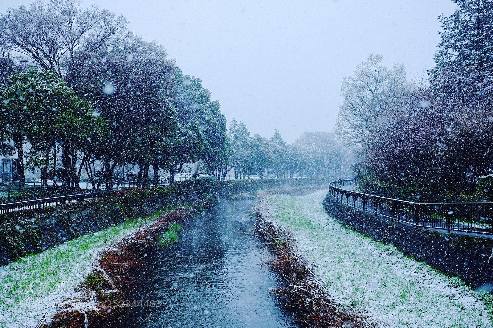Fujifilm X-E2 sample photo. Spring snow photography