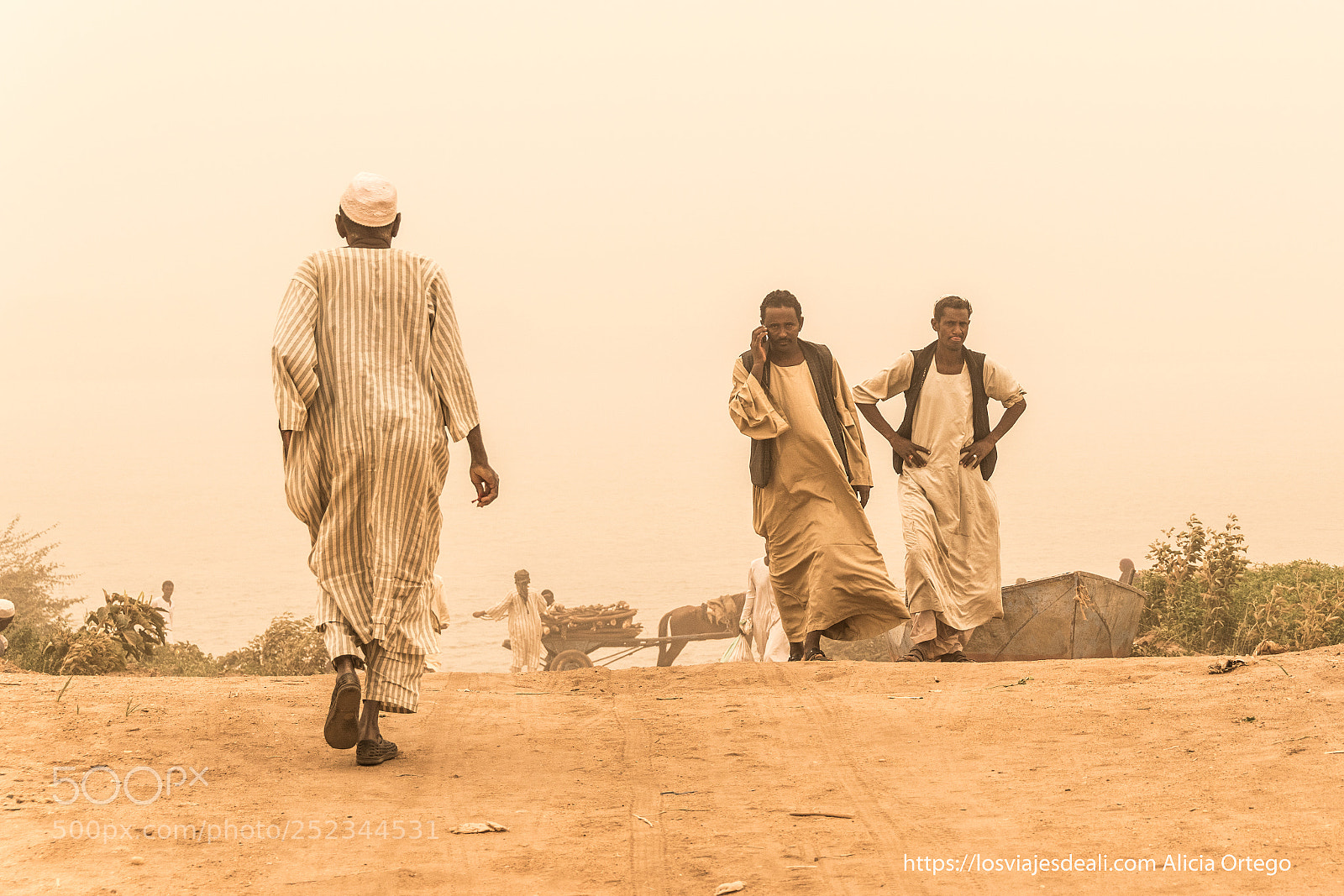 Nikon D5500 sample photo. Sand storm day photography