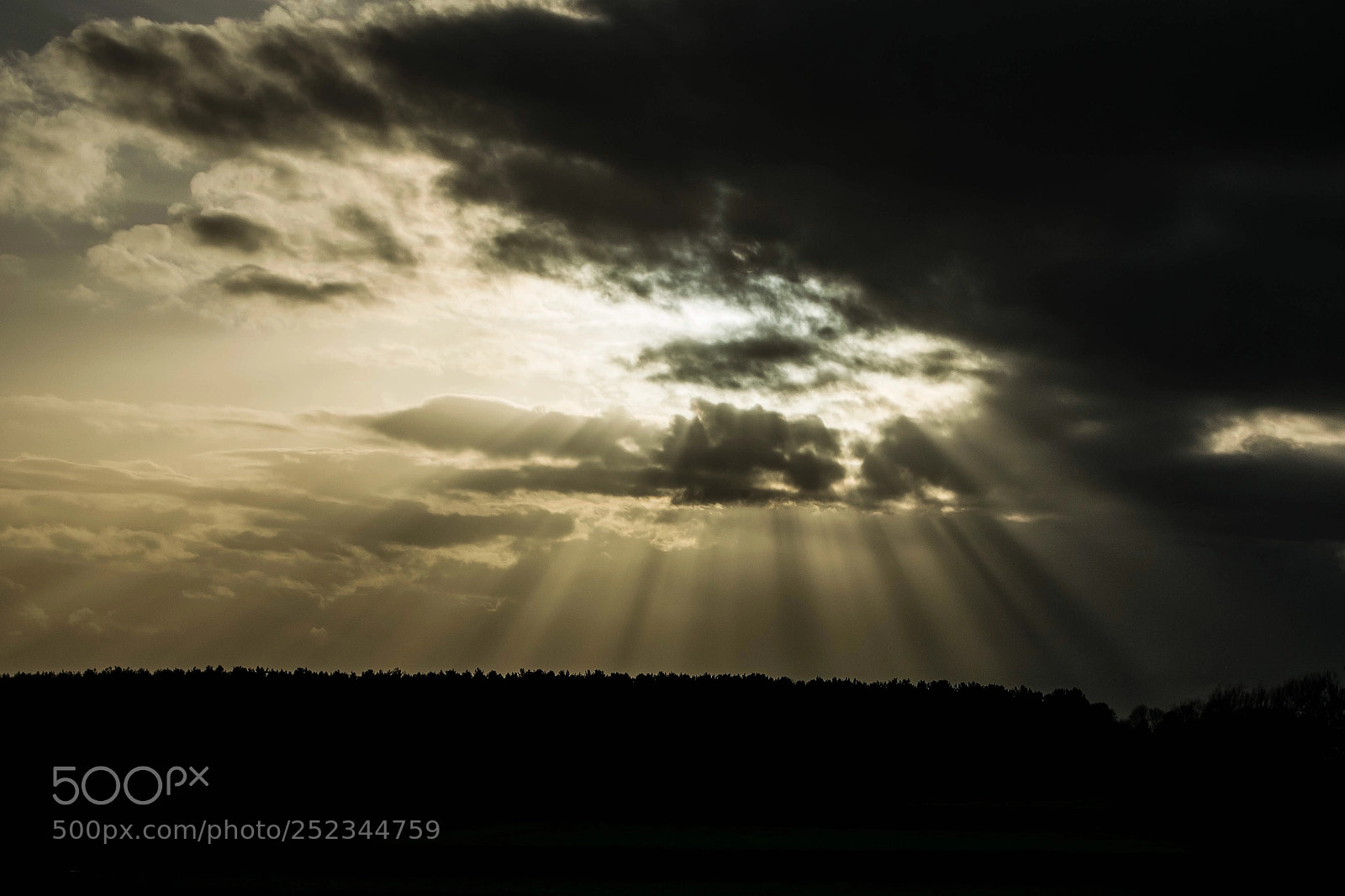 Nikon D3300 sample photo. Sunbeams  photography