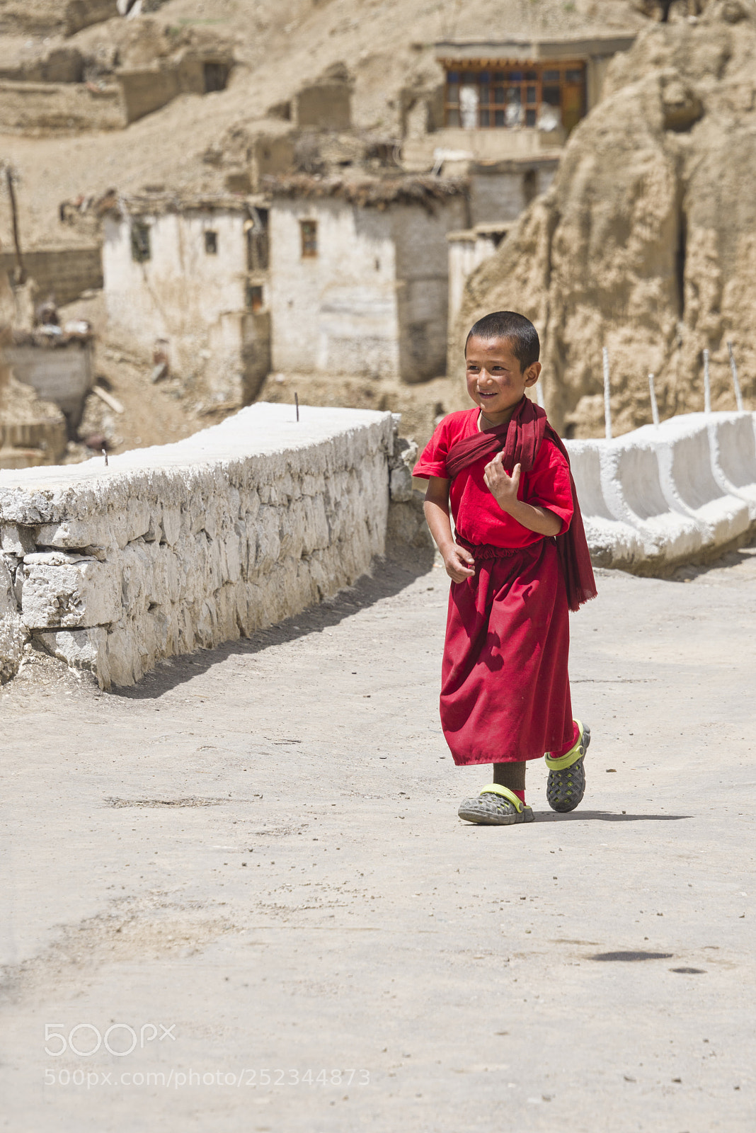 Nikon D810 sample photo. The little monk alchi photography