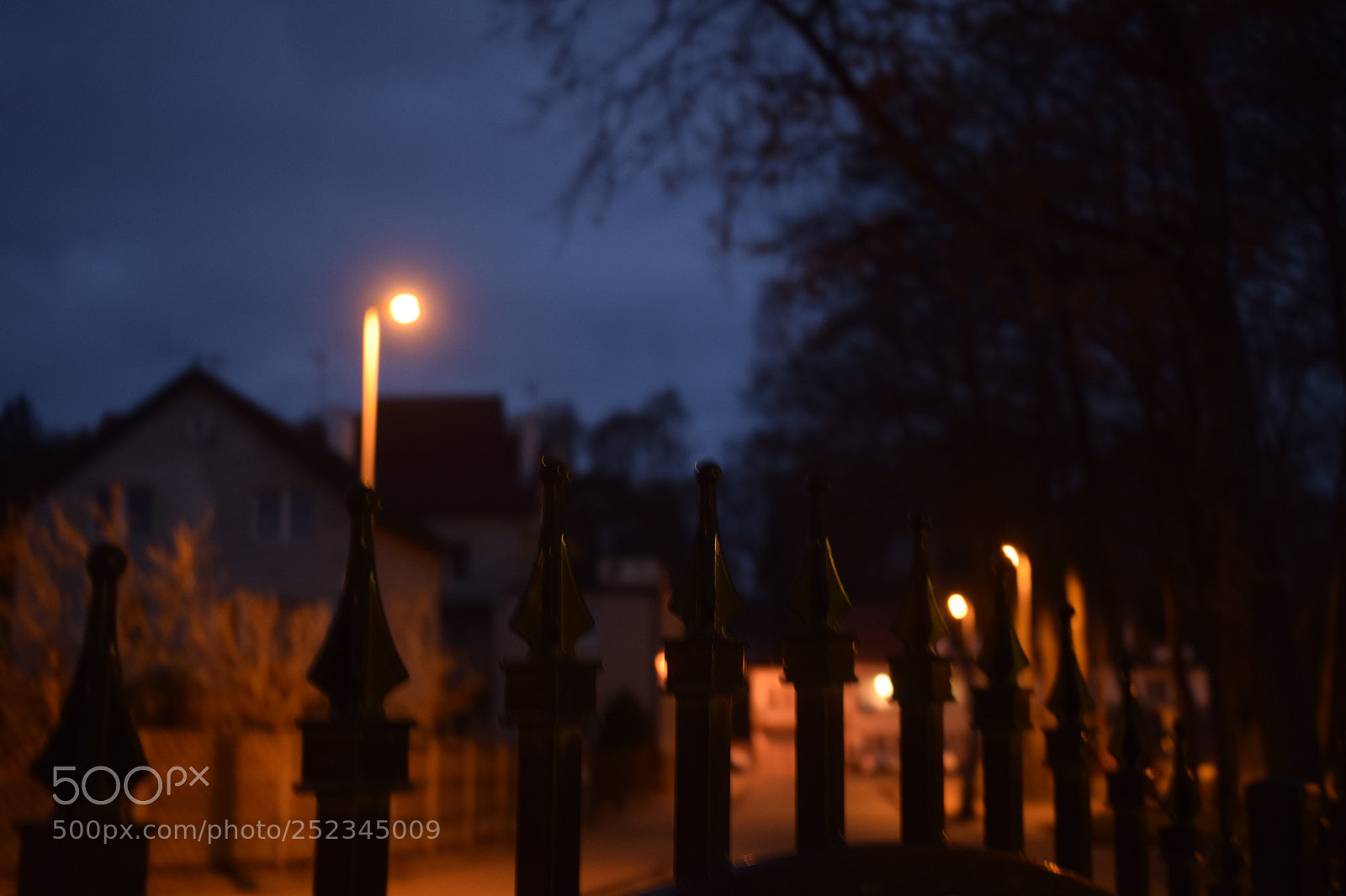 Nikon D3300 sample photo. Magic of the moment photography