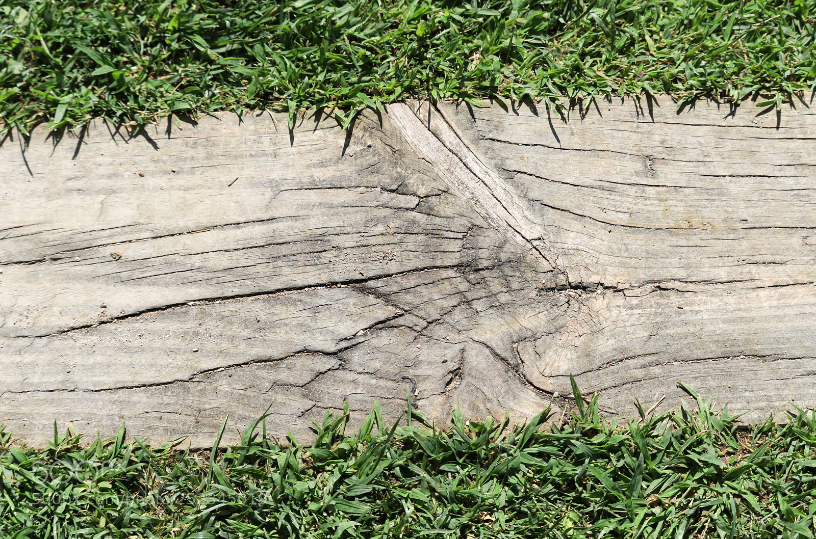 Canon EOS 80D sample photo. Wooden plank photography
