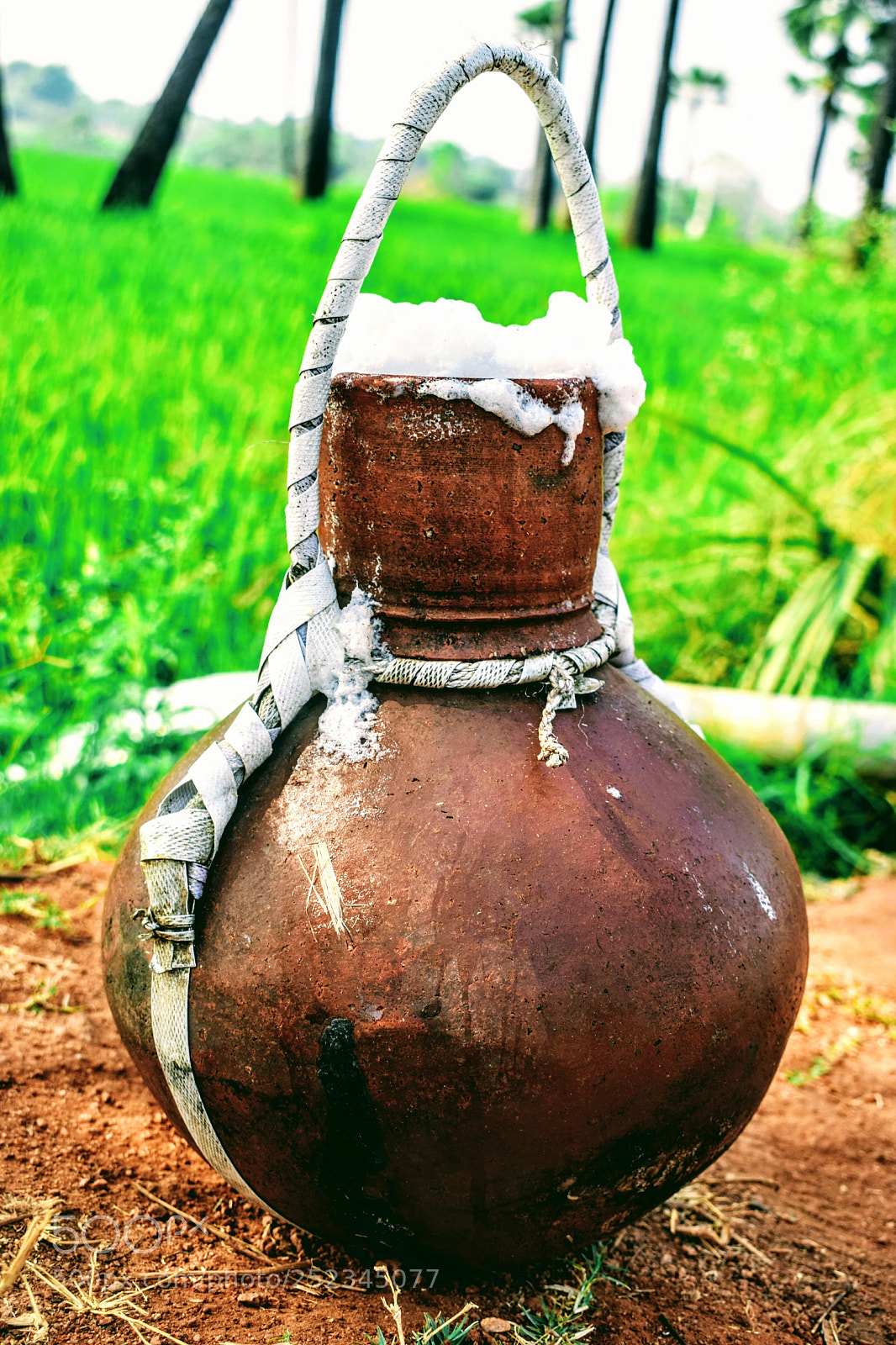 Nikon D5300 sample photo. Untitled photography