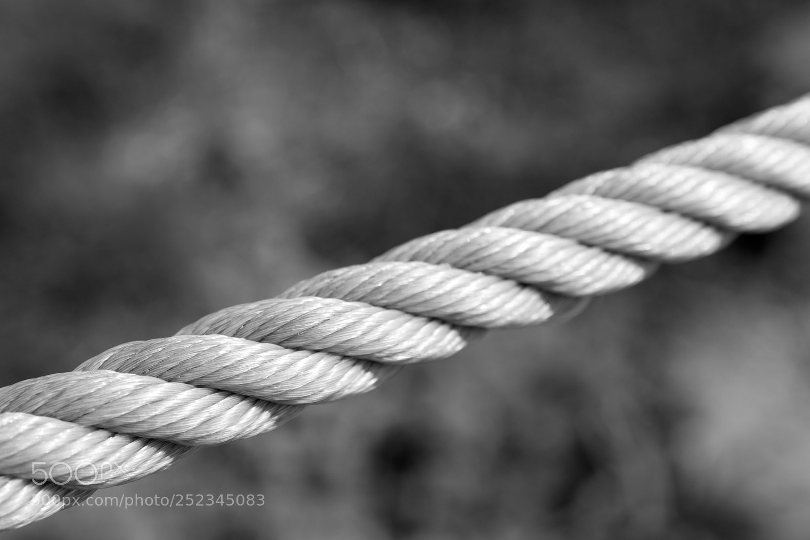 Canon EOS 80D sample photo. White rope 1 _ b&w photography