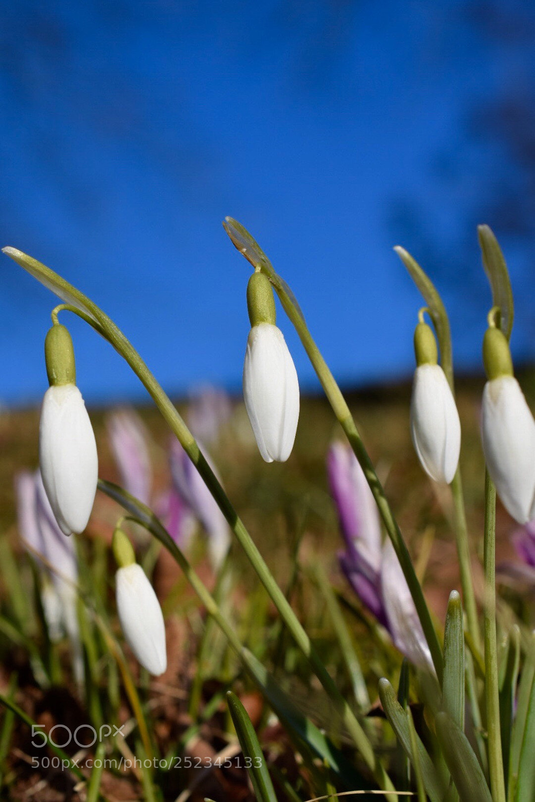 Nikon D5300 sample photo. A little more spring photography