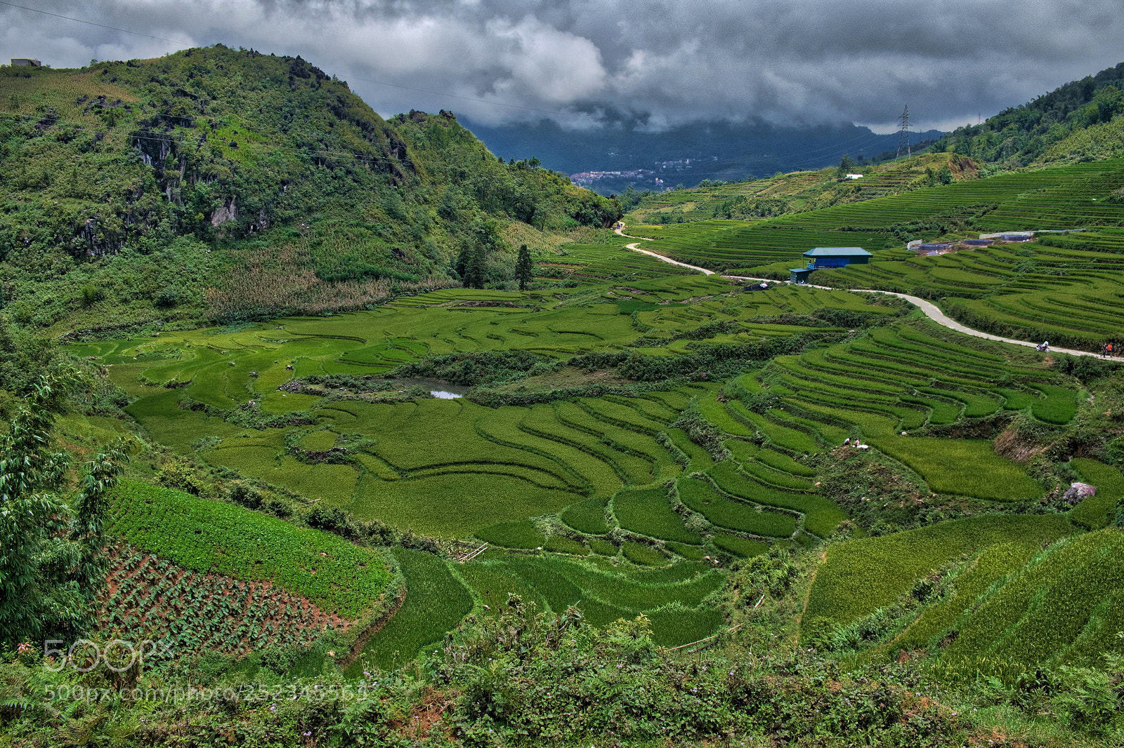 Fujifilm X-T1 sample photo. Sa pa rice fields photography