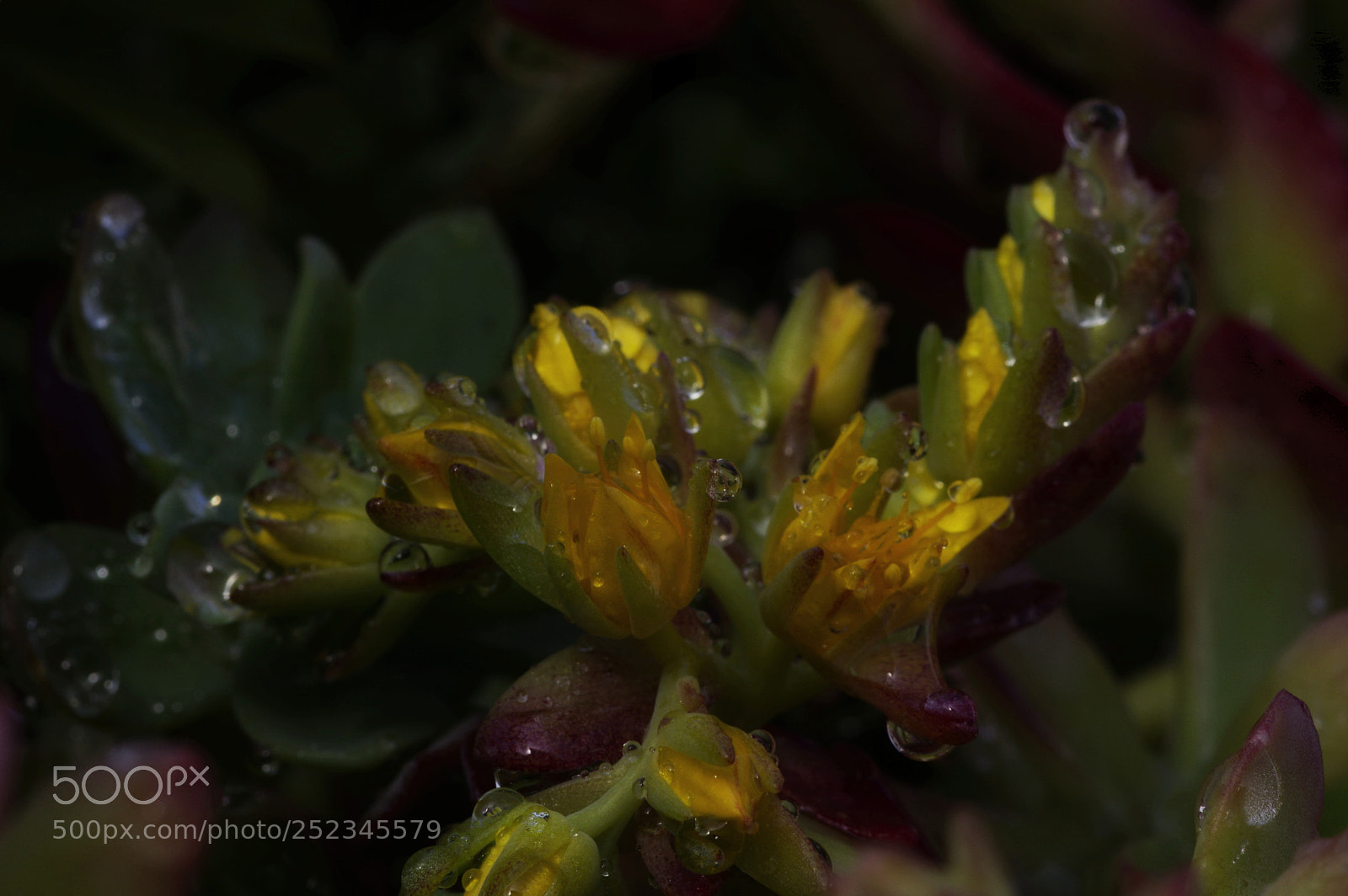 Pentax K-3 sample photo. !!!!?!!!!... photography