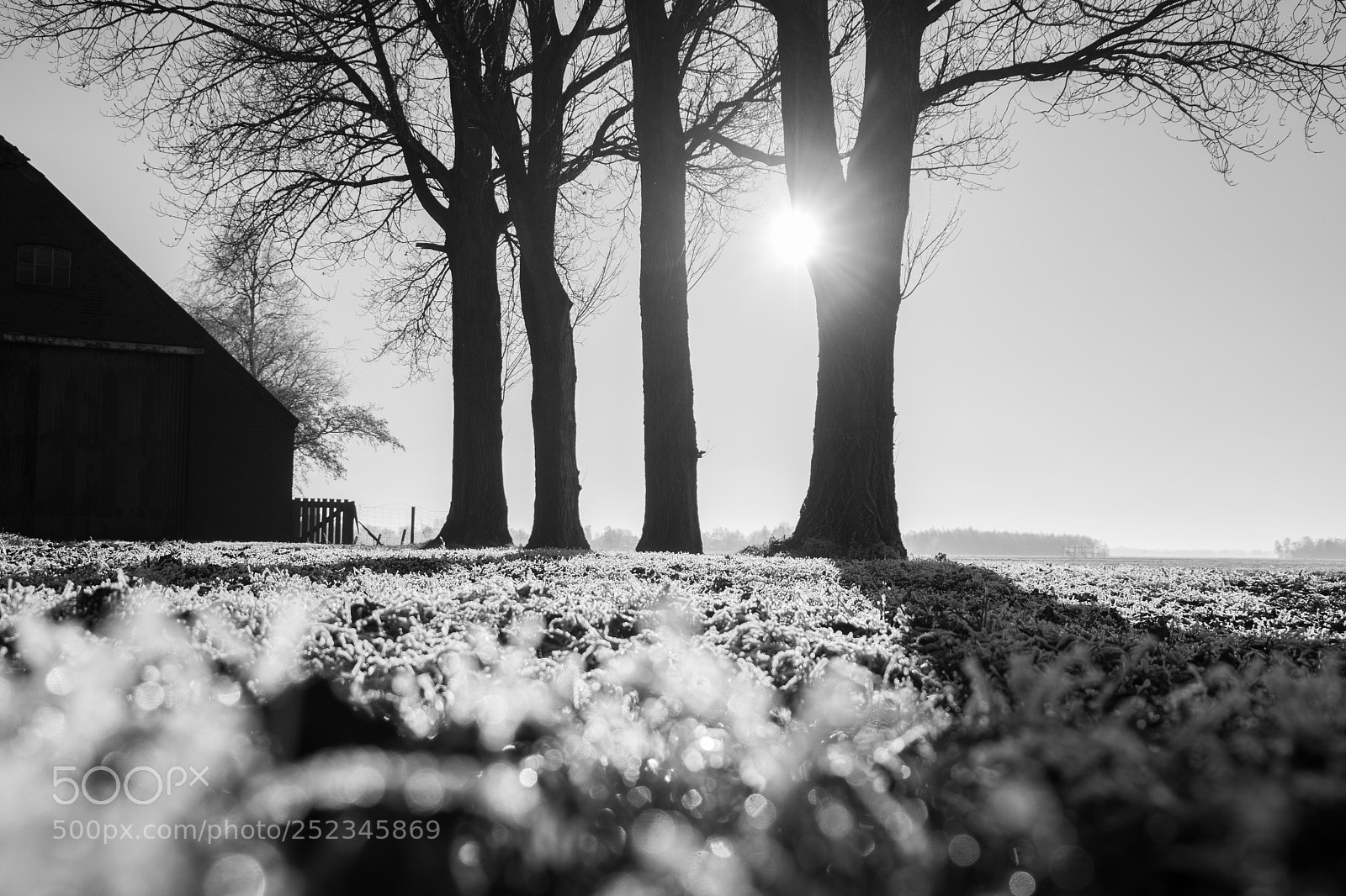 Sony ILCA-77M2 sample photo. Black and white photography