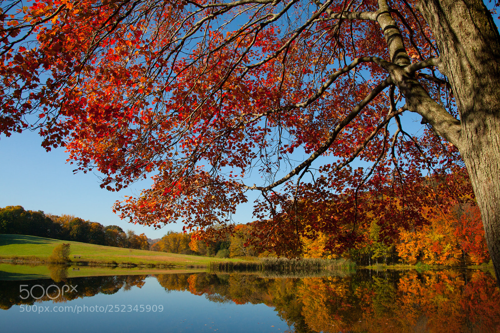 Canon EOS 5D Mark II sample photo. The comfort of autumn photography