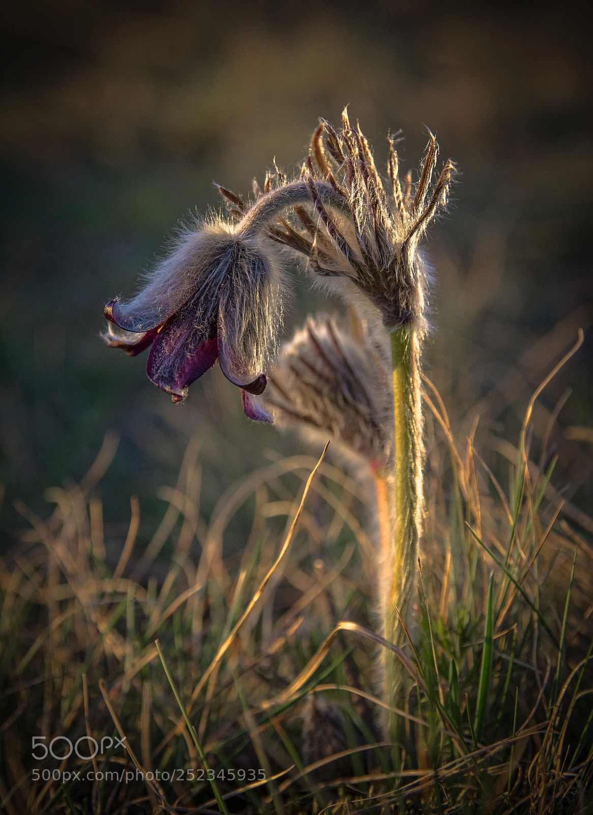 Nikon D7100 sample photo. The last lights photography