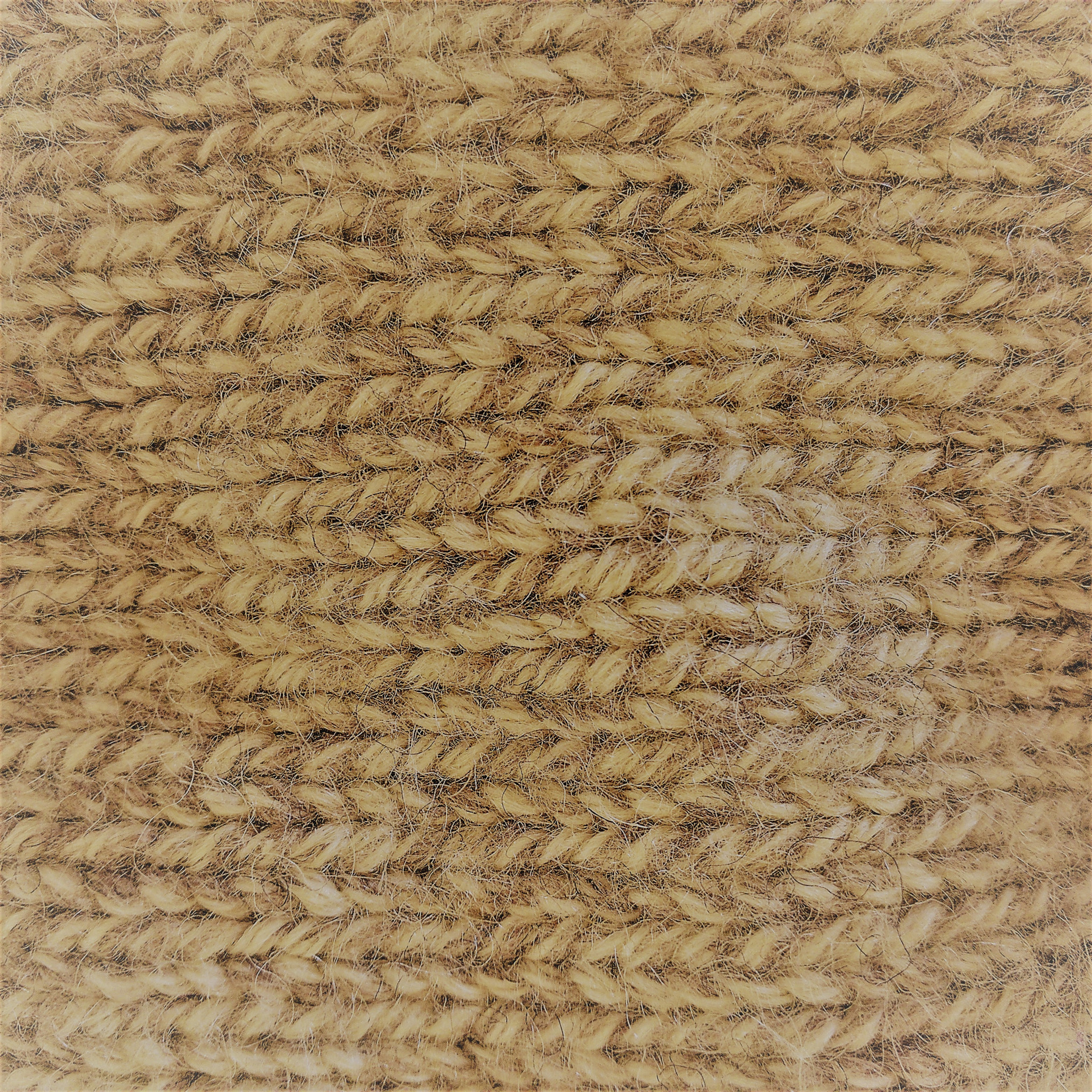 Motorola Nexus 6 sample photo. Ff - woolen photography