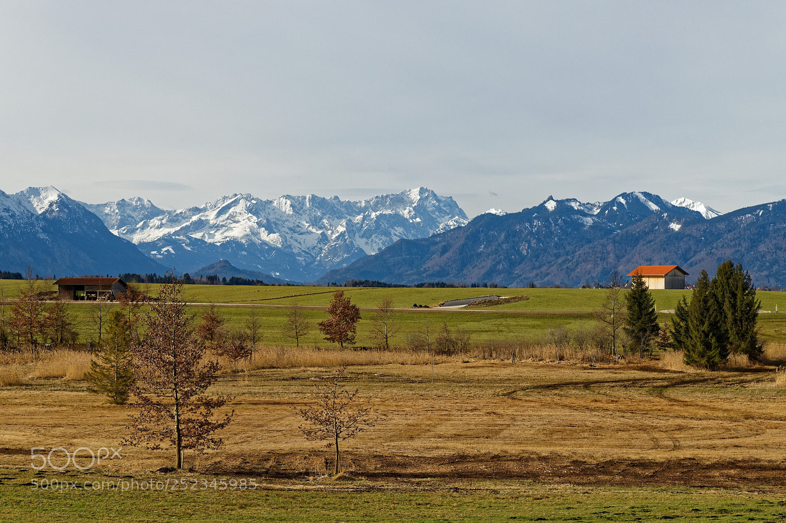 Canon EF 24-105mm F4L IS USM sample photo. Neither winter nor spring photography
