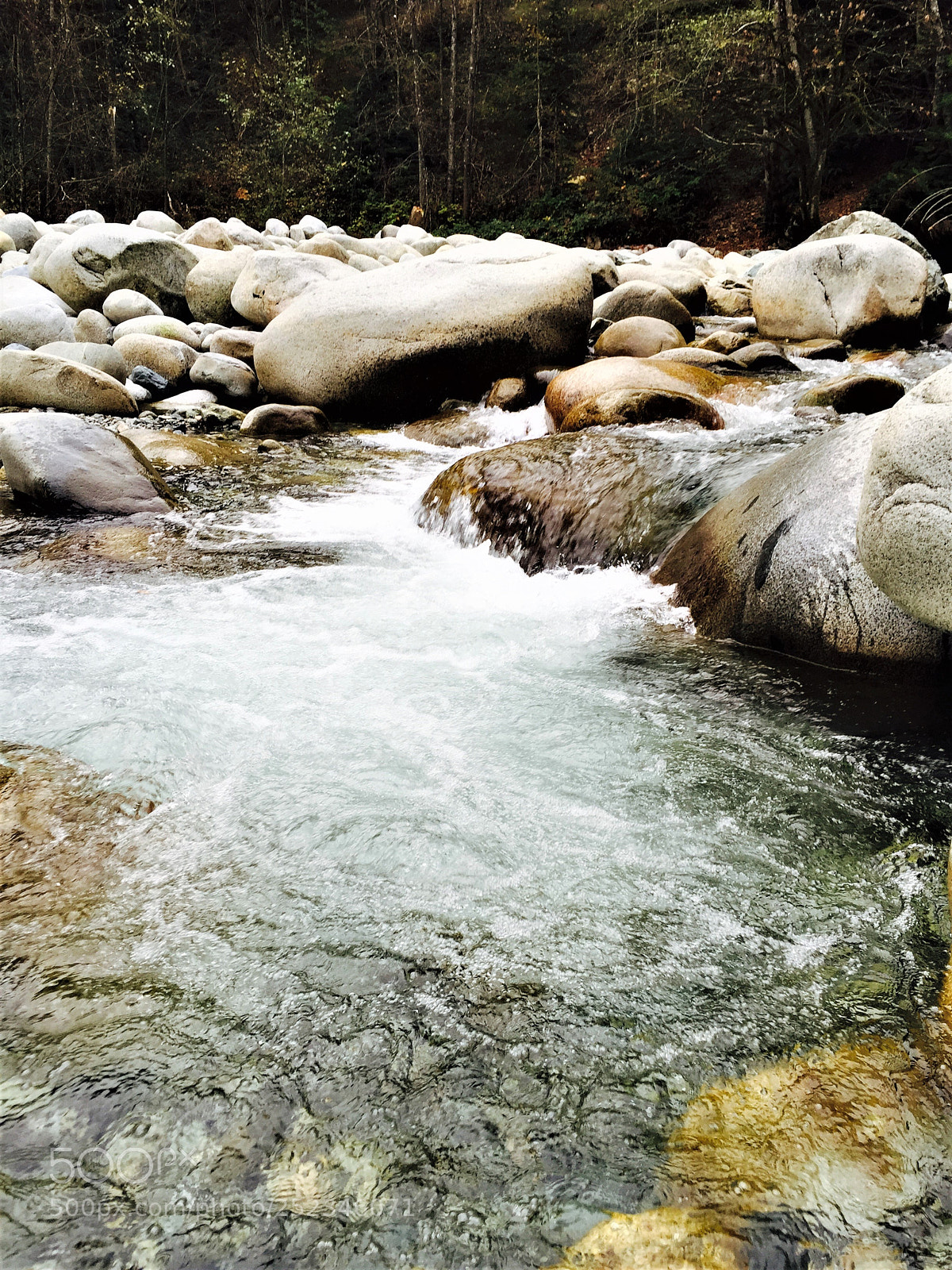 Apple iPhone 6 sample photo. 3.jpg photography
