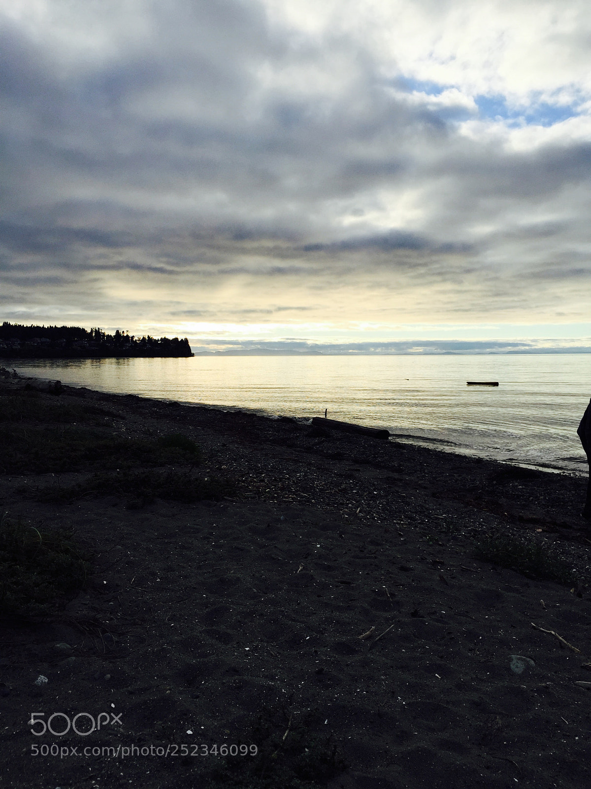 Apple iPhone 6 sample photo. Ios photography