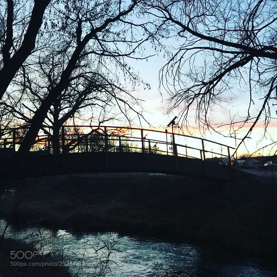 Apple iPhone 7 sample photo. Bridge photography