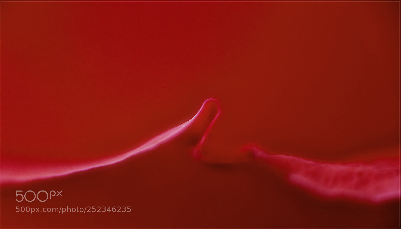 Canon EOS-1D X sample photo. Die seele der tulpen ... photography