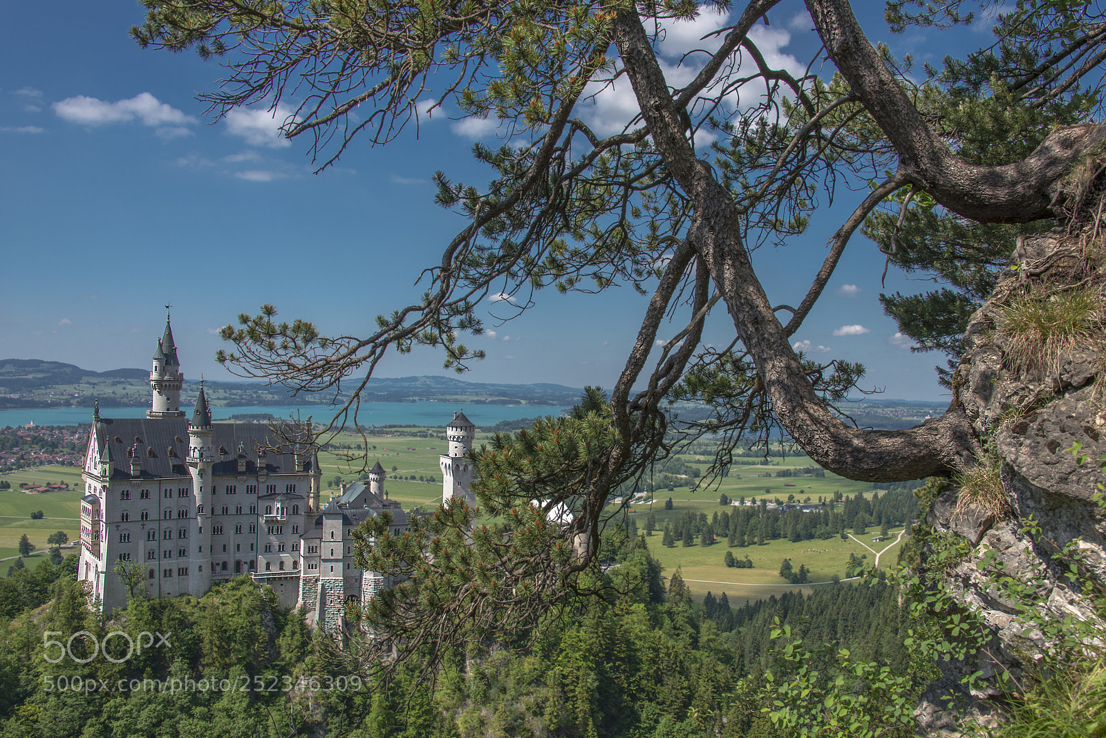 Nikon D800 sample photo. Neuschwanstein castle, germany photography
