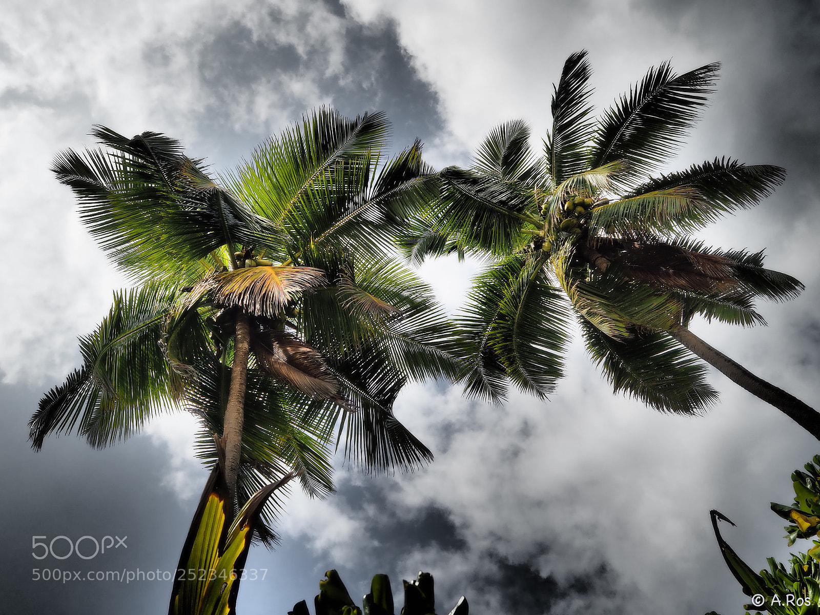 Olympus PEN-F sample photo. Seychelles photography