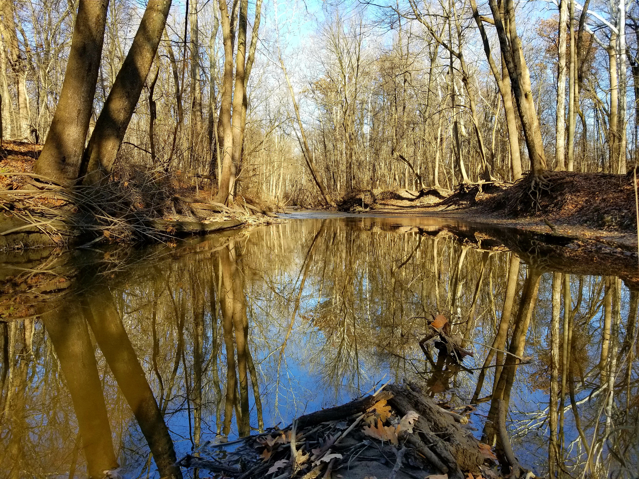 Samsung Galaxy S8 Active sample photo. Reflection photography