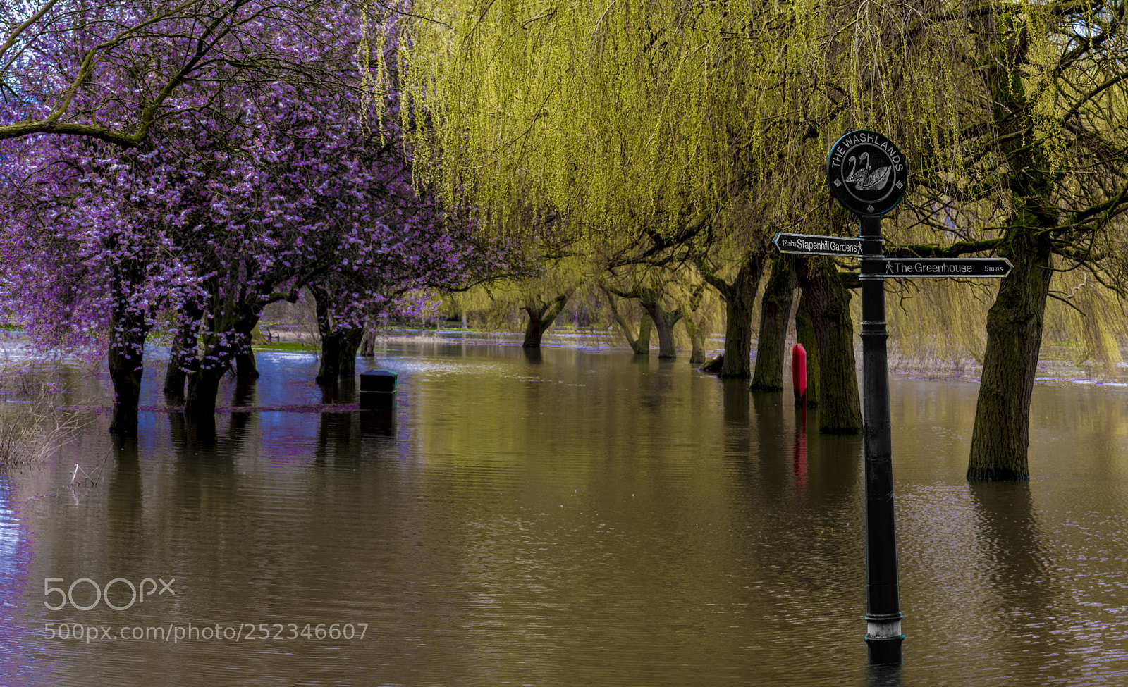 Canon EOS 700D (EOS Rebel T5i / EOS Kiss X7i) sample photo. Spring in the river photography