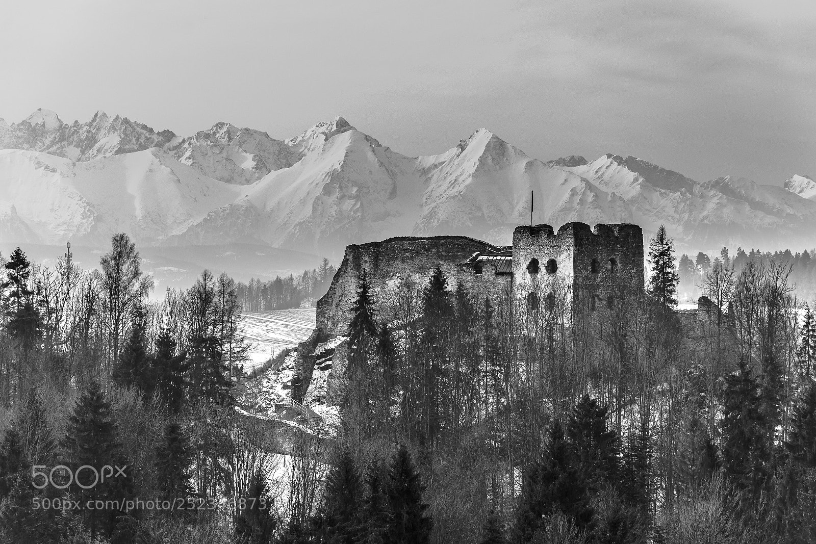 Nikon D5300 sample photo. Czorsztyn castle b&w photography