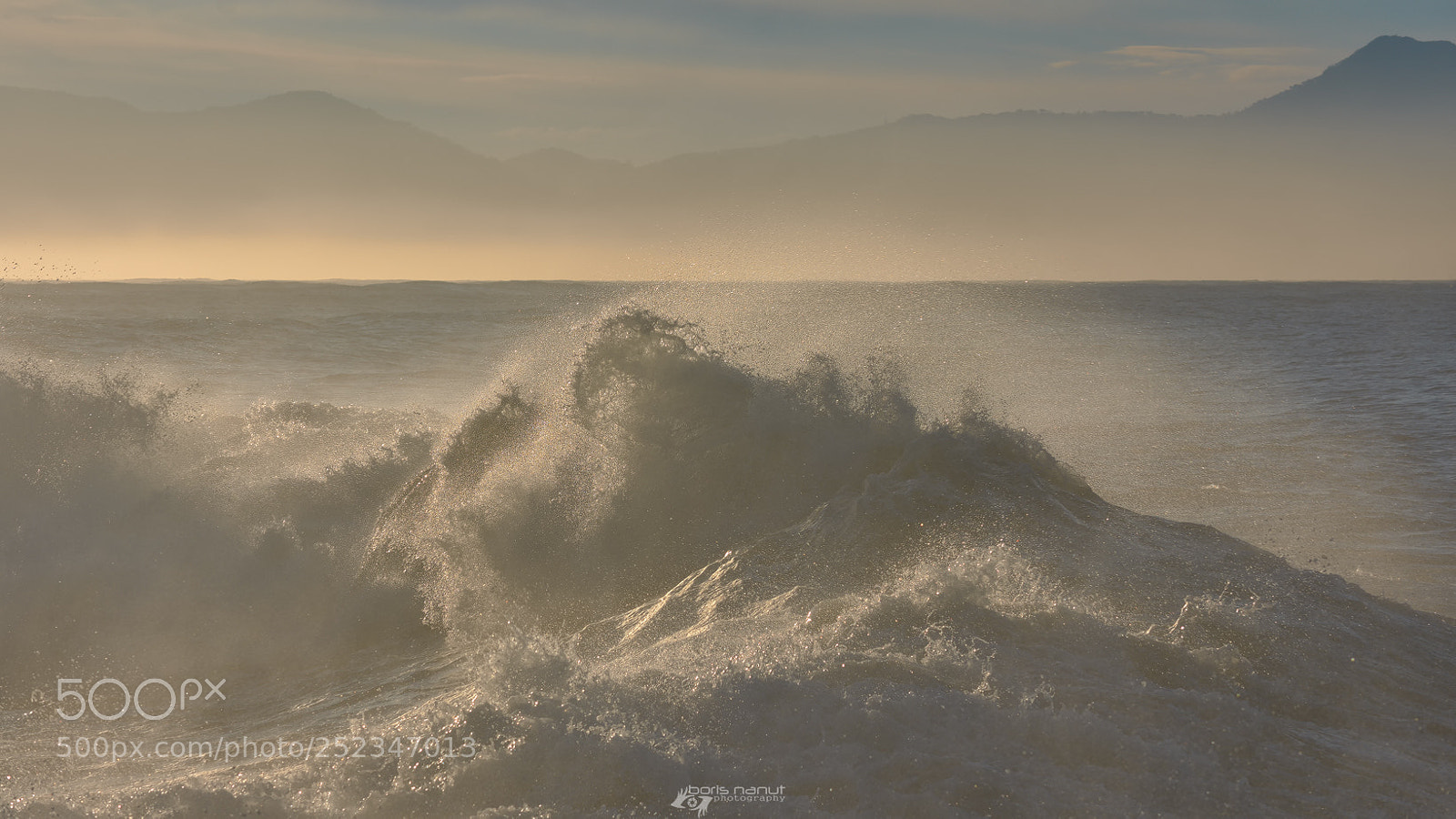 Nikon D7200 sample photo. Delicate power photography