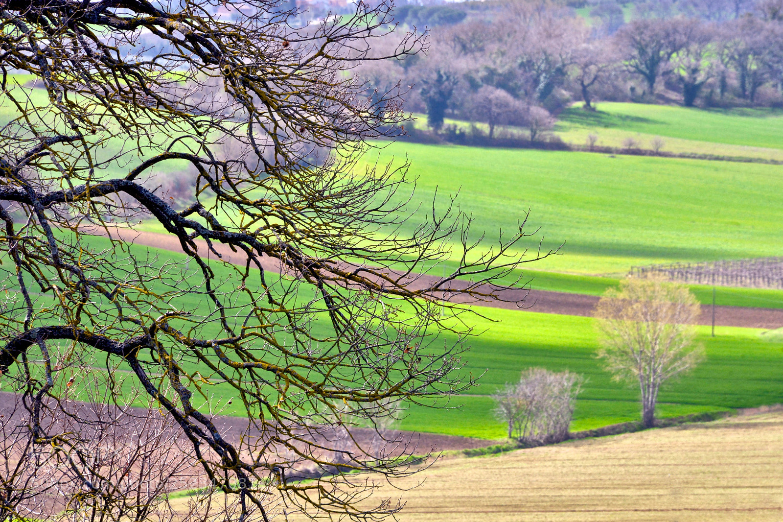 Nikon D800E sample photo. Untitled photography