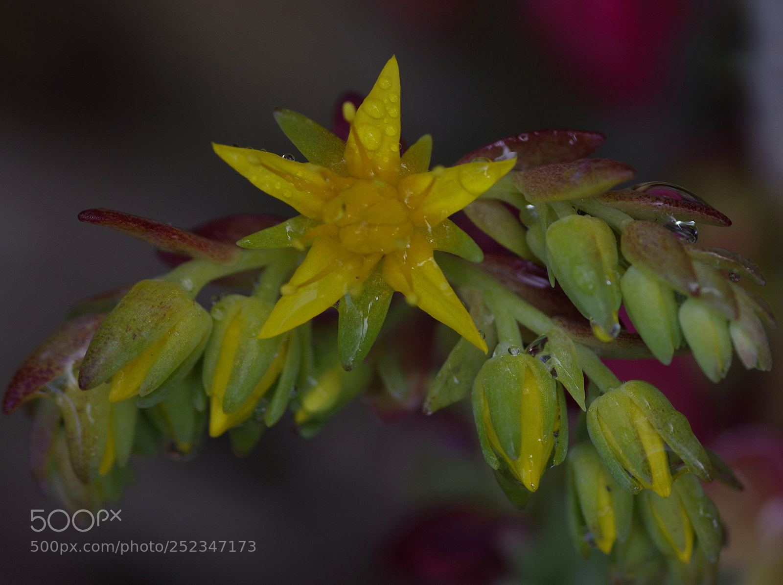 Pentax K-3 sample photo. ?....... photography