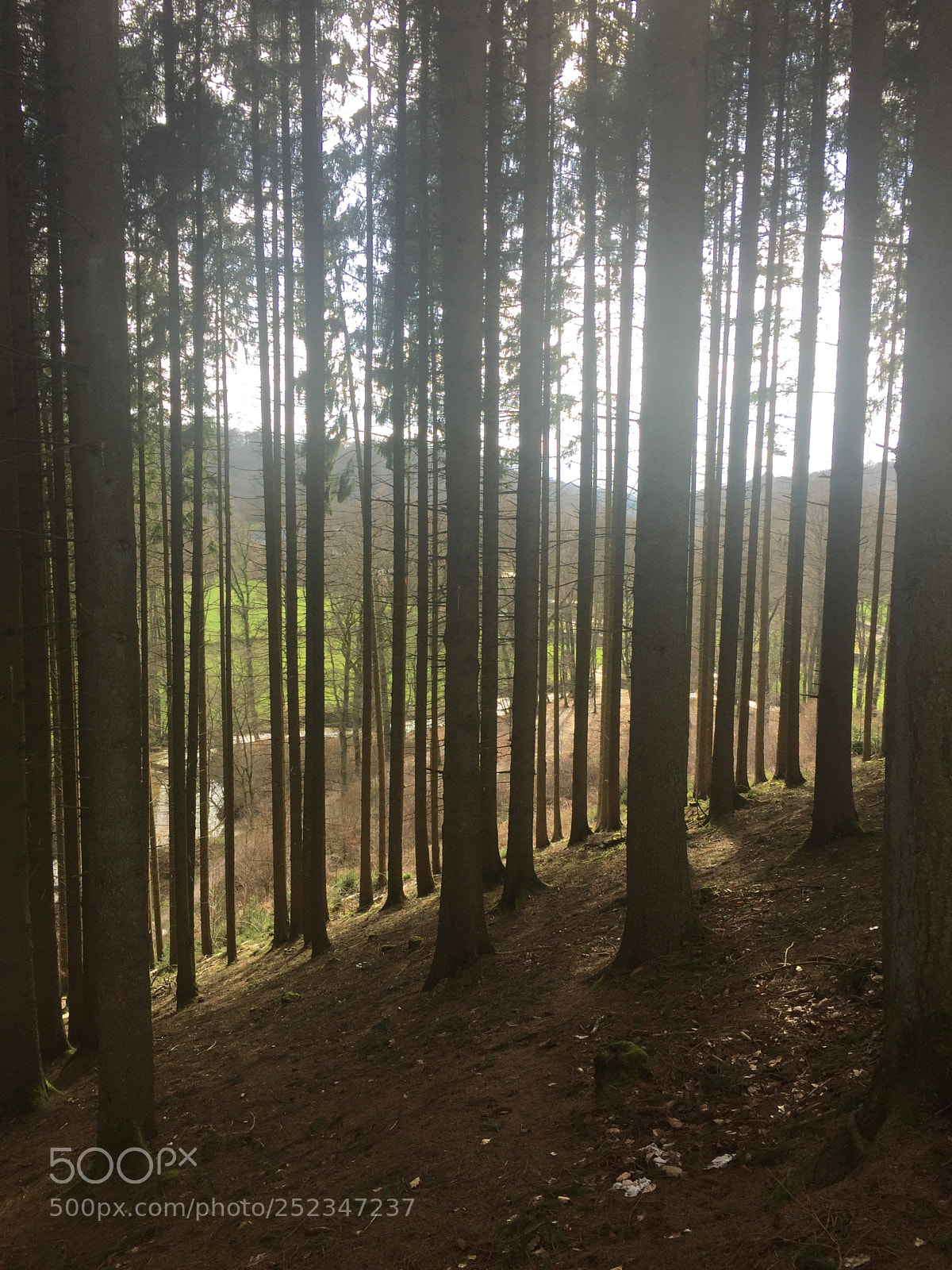 Apple iPhone 6 sample photo. Belgique en bas  photography