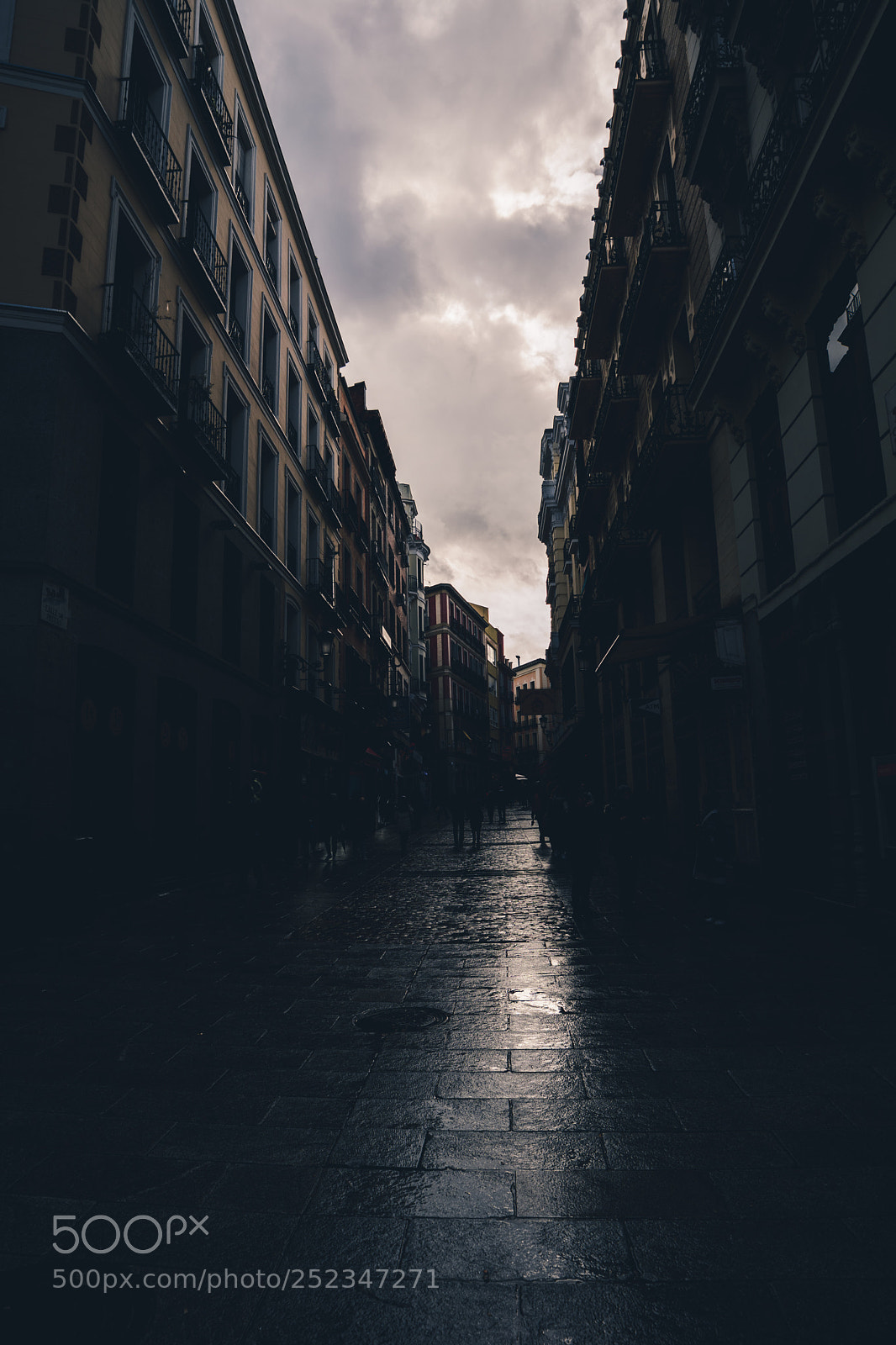 Nikon D5200 sample photo. After the storm photography
